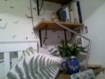 Snapshot9.jpg