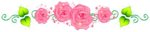 roses border.jpg