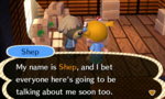 OMG SHEP.JPG