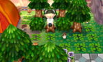 Camp Stump.JPG