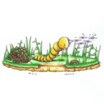 012 weedle.jpg