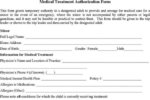 authorization-for-minors-medical-treatment.jpg