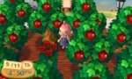 acnl6.jpg acnl6.jpg