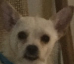 Really max.jpg
