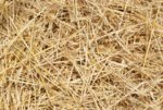 straw_texture1902.jpg