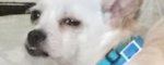 max resize 200x 500x.jpg