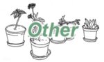 other.jpg other.jpg
