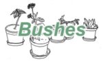 bushes.jpg bushes.jpg