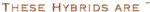 Cool Text - These Hybrids are 245728941750273.jpg Cool Text - These Hybrids are 245728941750273.jpg