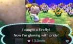 firefly.jpg