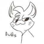 punchy.jpg