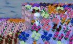 flowers.jpg