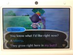 animal-crossing-my-butt-3.jpg