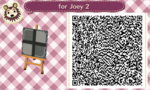 joey2.JPG