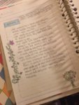 bujo2.jpg