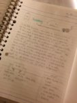 bujo3.jpg