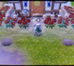 trees.jpg