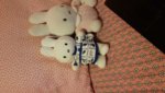 IMG-20171011-WA0000.jpg