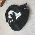 IMG_7841.jpg IMG_7841.jpg