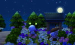 HNI_0039.JPG