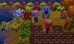 acnlwhy.jpg