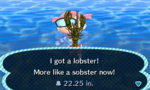 luna's lobster.JPG
