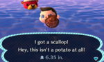 Scallop.jpg