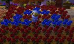 23519096_10154814632232016_521465756312607664_n.jpg