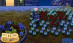 flowers.jpg