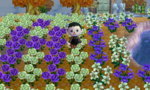 HNI_0096.JPG