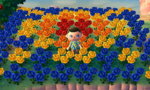 Startown Star.jpg