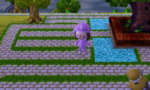 HNI_0074.JPG