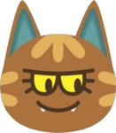 Katt.jpg