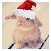 PicsArt_12-03-06.22.45.jpg