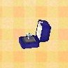 ring.jpg