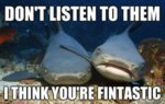 funny-shark-memes.jpg