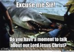 Excuse-Me-Sir-Funny-Shark-Meme-Image.jpg