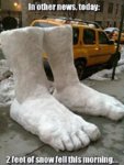 ordvits-feet-of-snow.jpg