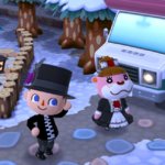 fancy.jpg