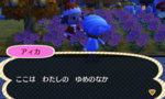 HNI_0065.JPG HNI_0065.JPG