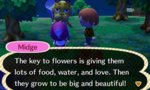 Flower.jpg