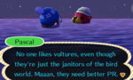 tumblr_n41u5ddBkX1r35j0bo2_400.jpg