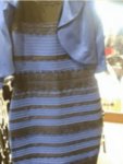 The_Dress_(viral_phenomenon).jpg