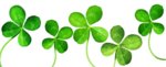 clover-border-clipart-5.jpg