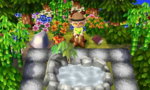 HNI_0011.JPG