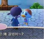 pompom1.jpg