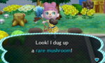 jmlUW6E.jpg jmlUW6E.jpg