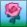rose-pink.jpg rose-pink.jpg