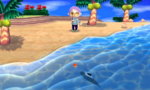 finnedfishshadow.JPG