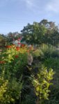 Screenshot_20190817-153645.jpg